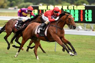 Volkstock’n’barrell wins Group 1 Haunui Farm WFA Classic at Otaki. Photo Credit: Race Images.